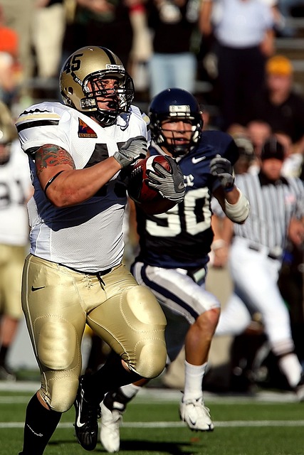 了展示各民 了展示各民